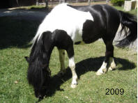 2009
