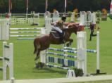 Milak Wr. Neustadt, CSNA 2014
