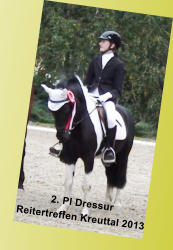 2. Pl Dressur Reitertreffen Kreuttal 2013