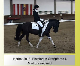 Herbst 2013, Platziert in Gropferde L Markgrafneusiedl