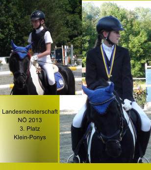 Landesmeisterschaft N 2013 3. Platz Klein-Ponys