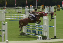 Milak Wr. Neustadt, CSNA 2014