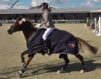 KO-Springen Vienna Masters 2014