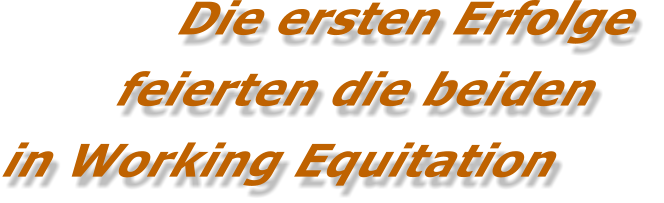Die ersten Erfolge  feierten die beiden in Working Equitation