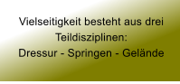 Vielseitigkeit besteht aus drei Teildisziplinen: Dressur - Springen - Gelnde