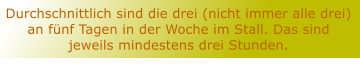 Durchschnittlich sind die drei (nicht immer alle drei) an fnf Tagen in der Woche im Stall. Das sind jeweils mindestens drei Stunden.