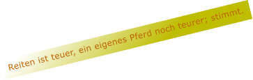 Reiten ist teuer, ein eigenes Pferd noch teurer; stimmt.