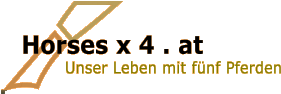 Horses x 4 . at Unser Leben mit fnf Pferden