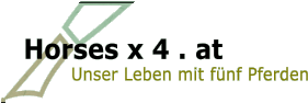 Horses x 4 . at Unser Leben mit fnf Pferden