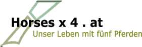 Horses x 4 . at Unser Leben mit fnf Pferden