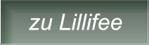 zu Lillifee zu Lillifee